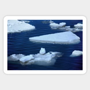 Ice Floes Sticker